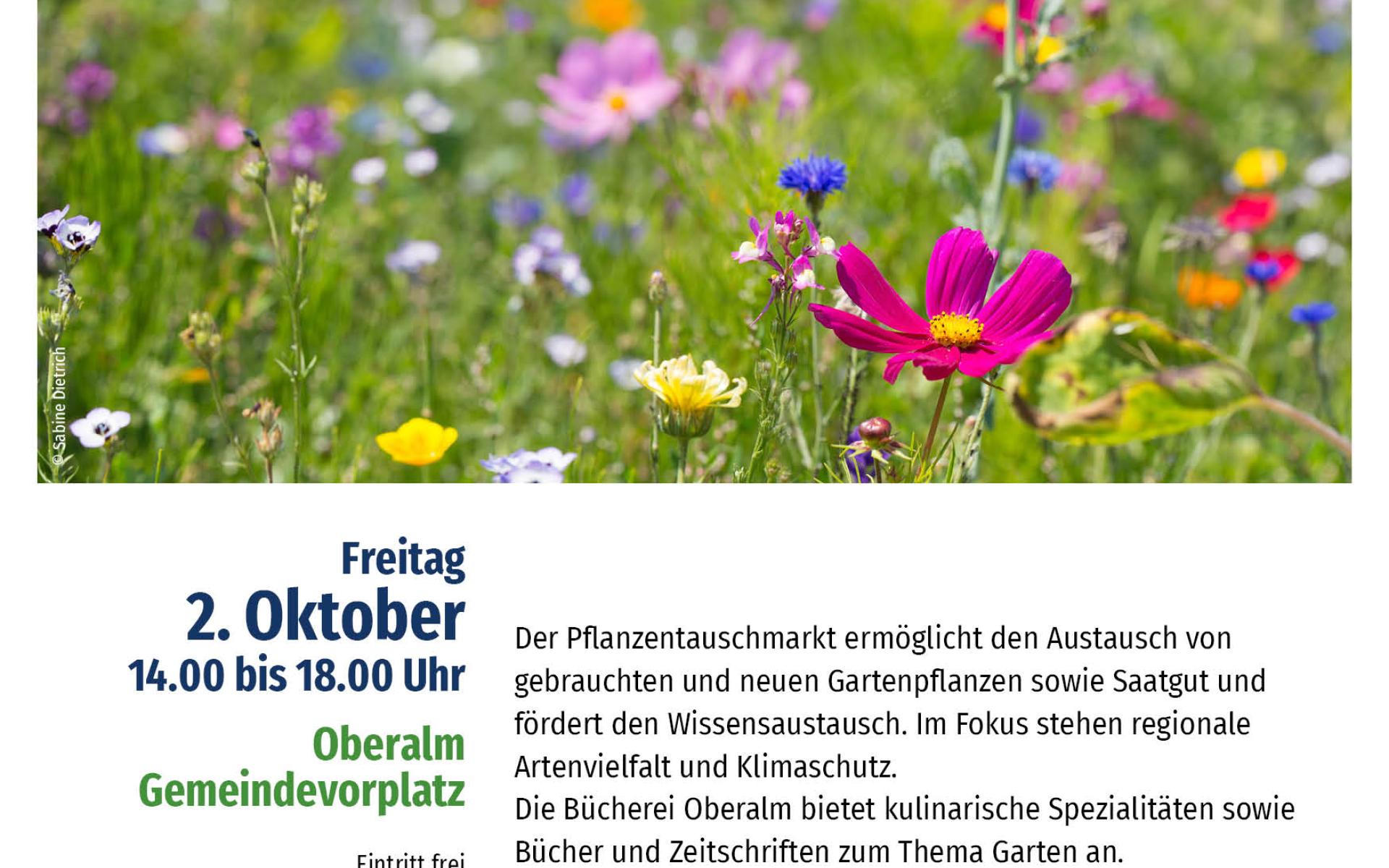 In gemütlicher Atmosphäre Pflanzen tauschen, plaudern, essen, trinken, lesen